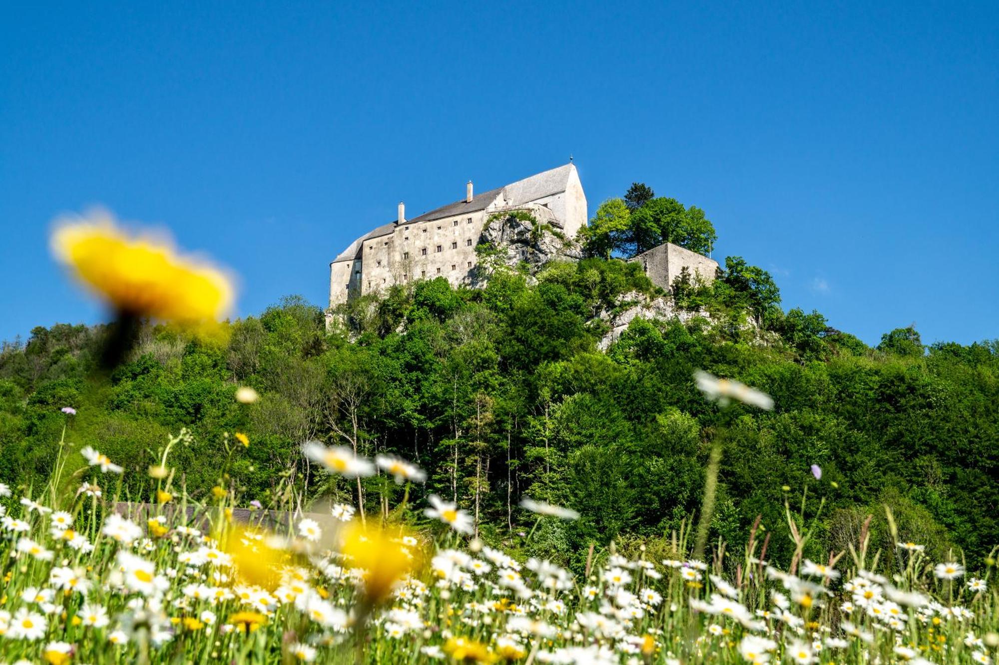 Hotel Burg Altpernstein Micheldorf in Oberösterreich Exteriér fotografie